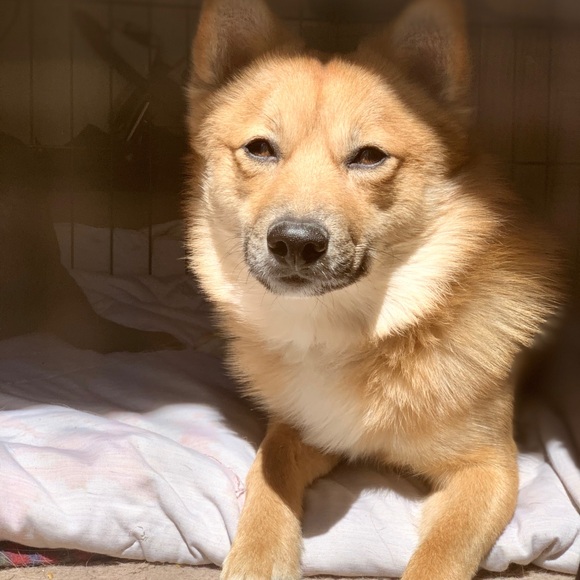 Meet your Posher, Alissa - Picture 5 of 16